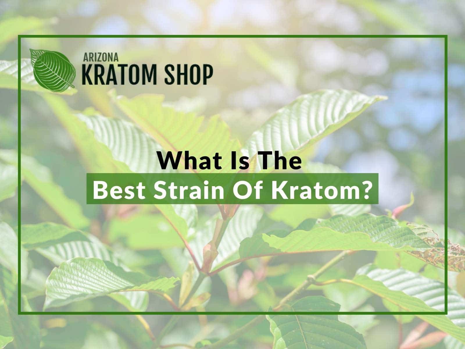 What Is The Best Strain Of Kratom?