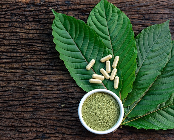 Find The Best Red, White, and Green Strains Of Kratom In Arizona And The US